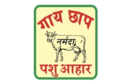 Narmada Agrobase Reports 52.86pc YoY Revenue Growth in Q3 FY26; Revenue at Rs. 2,164.31 Lakhs